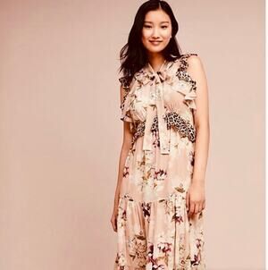 Anthropologie Kachel Sedona Sunrise Silk Maxi Dress